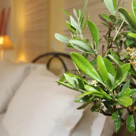 Apartament Angeliki &