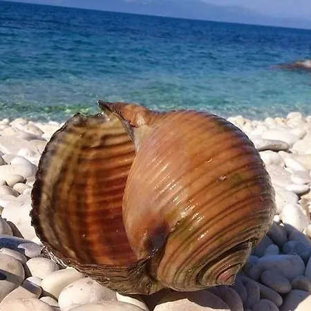 Apartament Angeliki &