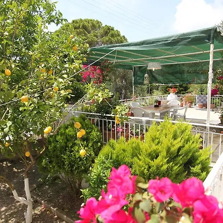Angeliki Studio&apartment