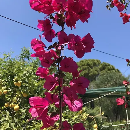 Angeliki Studio&apartment