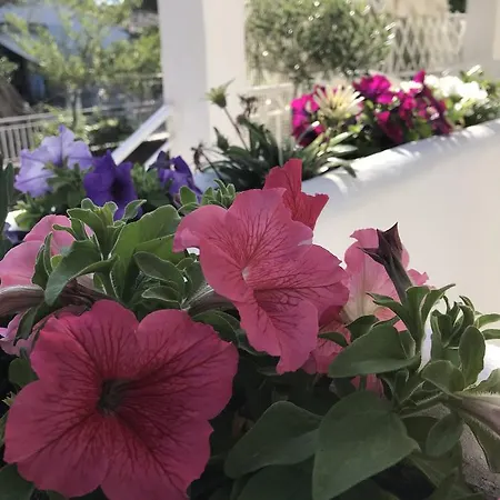 Appartement Angeliki Studio&apartment Gaios