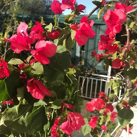 Angeliki Studio&apartment * Gaios